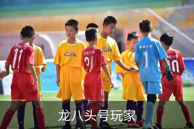 龙八头号玩家平台介绍